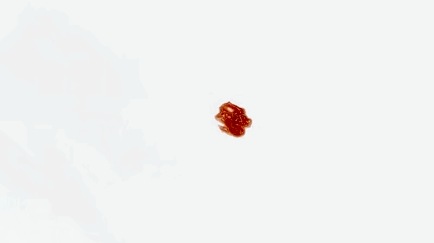 hnh1969_12.gif