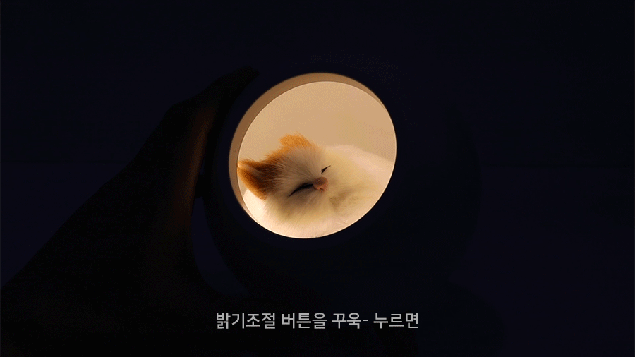 Sleeping-Cat-Nightlight-Speaker_09.gif